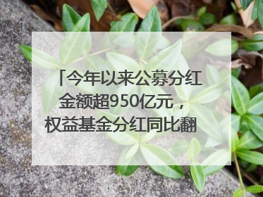 今年以来公募分红金额超950亿元，权益基金分红同比翻倍｜招财猫