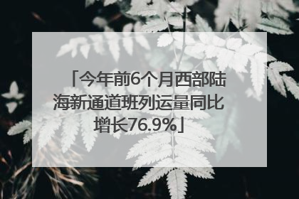 今年前6个月西部陆海新通道班列运量同比增长76.9%
