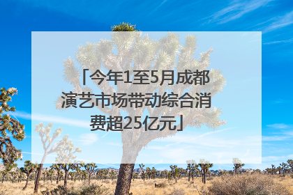 今年1至5月成都演艺市场带动综合消费超25亿元