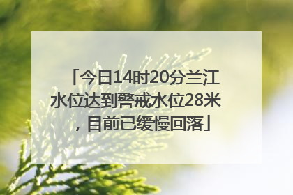 今日14时20分兰江水位达到警戒水位28米，目前已缓慢回落