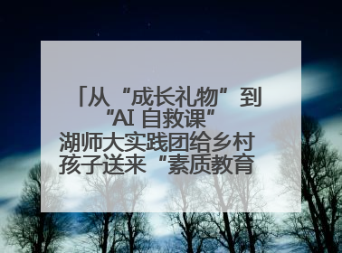 从“成长礼物”到“AI 自救课” 湖师大实践团给乡村孩子送来“素质教育大礼包”