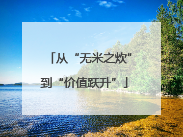 从“无米之炊”到“价值跃升”