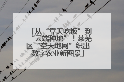 从“靠天吃饭”到“云端种地”！莱芜区“空天地网”织出数字农业新图景