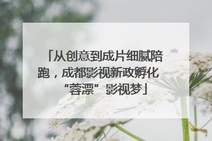 从创意到成片细腻陪跑，成都影视新政孵化“蓉漂”影视梦