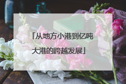 从地方小港到亿吨大港的跨越发展