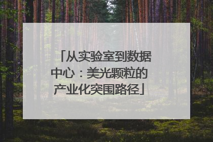 从实验室到数据中心：美光颗粒的产业化突围路径