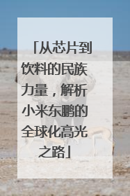 从芯片到饮料的民族力量,解析小米东鹏的全球化高光之路