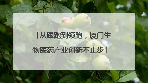 从跟跑到领跑，厦门生物医药产业创新不止步