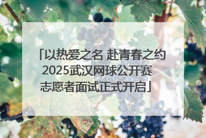 以热爱之名 赴青春之约 2025武汉网球公开赛志愿者面试正式开启
