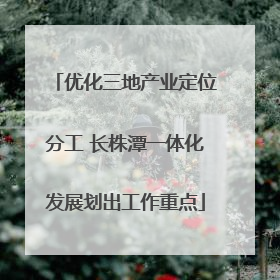 优化三地产业定位分工 长株潭一体化发展划出工作重点