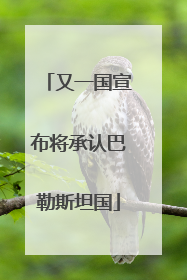 又一国宣布将承认巴勒斯坦国