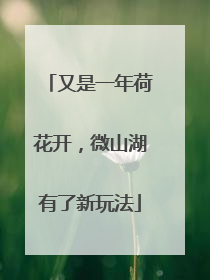 又是一年荷花开，微山湖有了新玩法