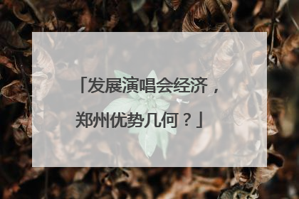 发展演唱会经济，郑州优势几何？