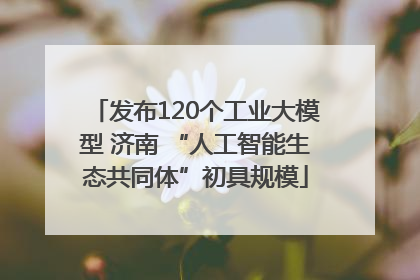 发布120个工业大模型 济南 “人工智能生态共同体”初具规模