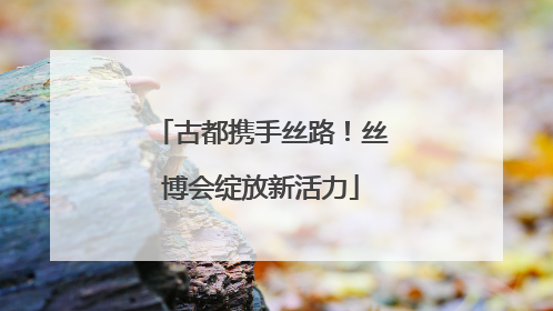 古都携手丝路！丝博会绽放新活力