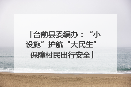 台前县委编办：“小设施”护航“大民生” 保障村民出行安全