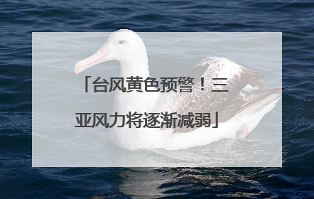 台风黄色预警！三亚风力将逐渐减弱