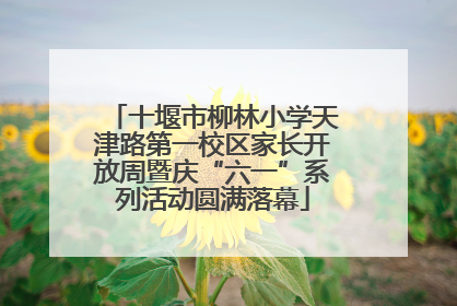 十堰市柳林小学天津路第一校区家长开放周暨庆“六一”系列活动圆满落幕