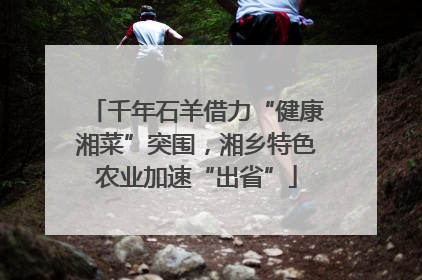 千年石羊借力“健康湘菜”突围，湘乡特色农业加速“出省”