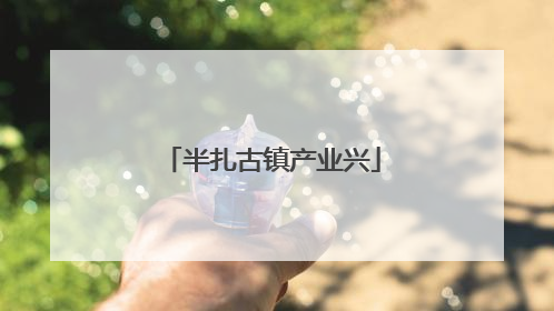 半扎古镇产业兴