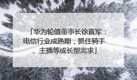 华为轮值董事长徐直军：电信行业成熟期，抓住骑手、主播等成长型需求