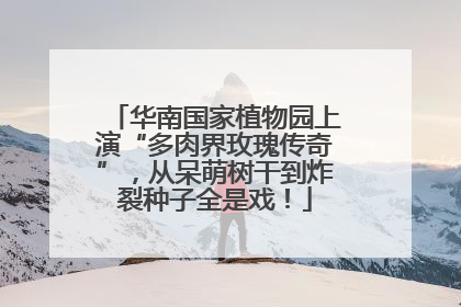 华南国家植物园上演“多肉界玫瑰传奇”，从呆萌树干到炸裂种子全是戏！