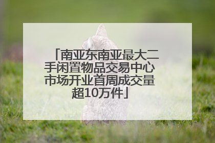 南亚东南亚最大二手闲置物品交易中心市场开业首周成交量超10万件