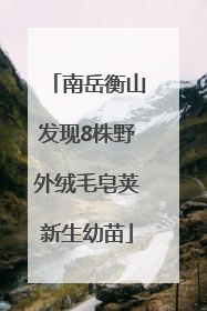 南岳衡山发现8株野外绒毛皂荚新生幼苗