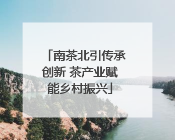 南茶北引传承创新 茶产业赋能乡村振兴