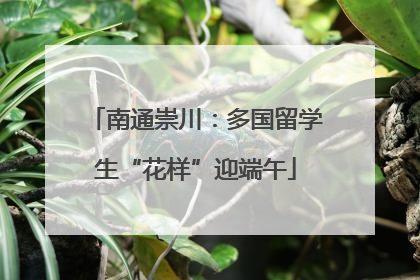 南通崇川：多国留学生“花样”迎端午