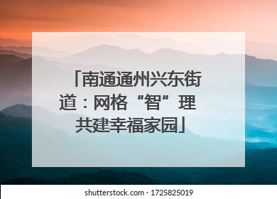 南通通州兴东街道：网格“智”理 共建幸福家园