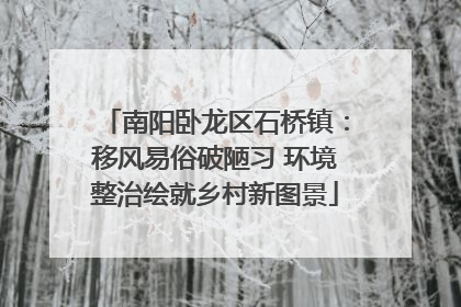 南阳卧龙区石桥镇：移风易俗破陋习 环境整治绘就乡村新图景