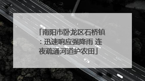 南阳市卧龙区石桥镇:迅速响应强降雨 连夜疏通河道护农田