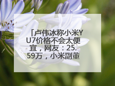 卢伟冰称小米YU7价格不会太便宜，网友：25.59万，小米副董事：不行！