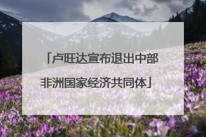 卢旺达宣布退出中部非洲国家经济共同体
