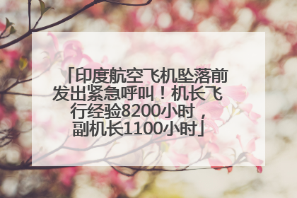 印度航空飞机坠落前发出紧急呼叫！机长飞行经验8200小时，副机长1100小时