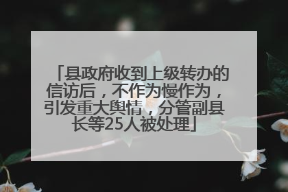县政府收到上级转办的信访后，不作为慢作为，引发重大舆情，分管副县长等25人被处理