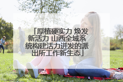 厚植硬实力 焕发新活力 山西全域系统构建活力迸发的派出所工作新生态