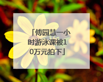 傅园慧一小时游泳课被10万元拍下