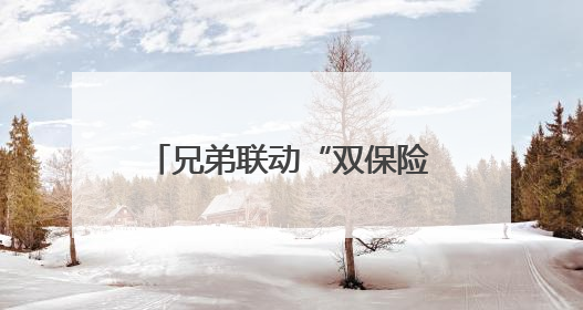 兄弟联动“双保险”守护天路安全