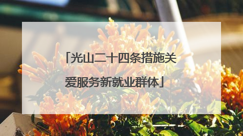 光山二十四条措施关爱服务新就业群体