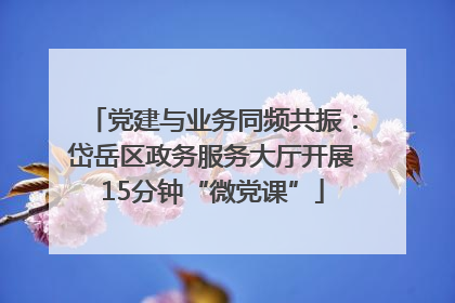 党建与业务同频共振：岱岳区政务服务大厅开展15分钟“微党课”