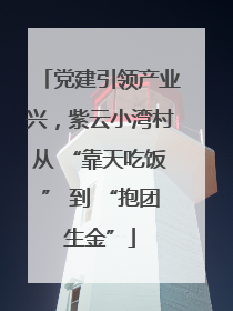 党建引领产业兴，紫云小湾村从 “靠天吃饭” 到 “抱团生金”