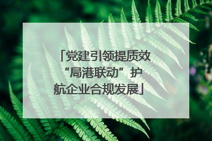 党建引领提质效 “局港联动”护航企业合规发展