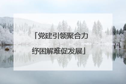 党建引领聚合力 纾困解难促发展