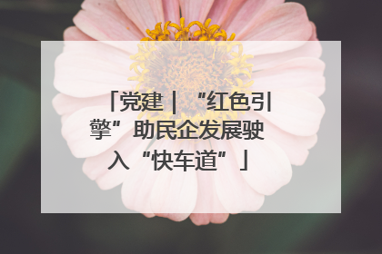 党建｜“红色引擎”助民企发展驶入“快车道”