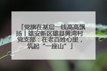 党旗在基层一线高高飘扬丨雄安新区雄县黄湾村党支部：在老百姓心里，筑起“一座山”