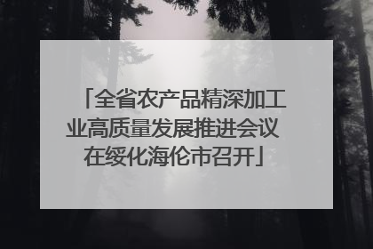 全省农产品精深加工业高质量发展推进会议在绥化海伦市召开