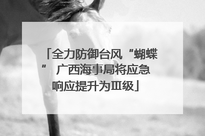 全力防御台风“蝴蝶” 广西海事局将应急响应提升为Ⅲ级