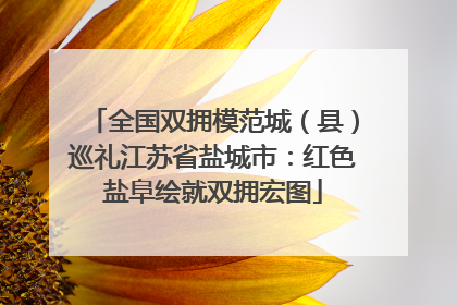全国双拥模范城（县）巡礼江苏省盐城市：红色盐阜绘就双拥宏图